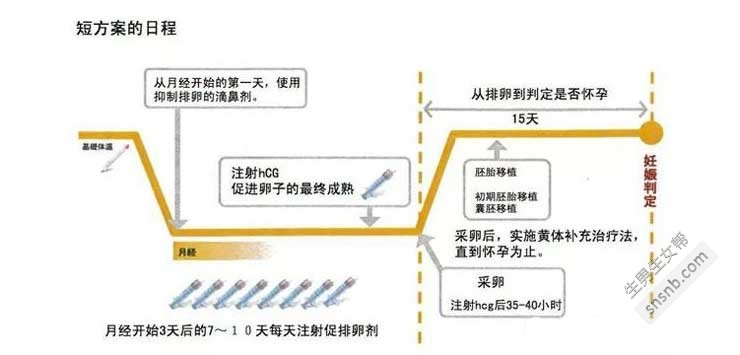 试管婴儿的促排卵期是多少天