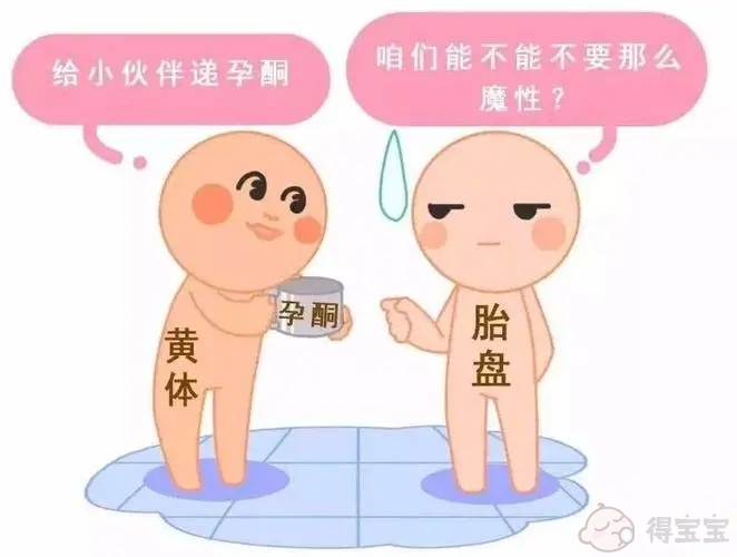 促甲状腺激素高能做试管婴儿吗？可能会有什么影响？